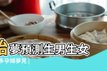 【懷孕的人夢到生男生女準嗎】胎夢預測生男生女 |最多孕婦夢見 |胎夢可以預知生男生女 |