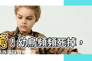【幼鳥死掉】驚！幼鳥頻頻死掉，愛鳥族誤踩致命雷區！