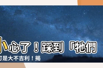 【踩到死老鼠預兆】小心了！踩到「牠們」可是大不吉利！揭踩到死老鼠的驚悚預兆
