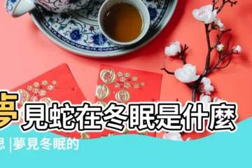 【孕婦做夢夢見蛇在冬眠】夢見蛇在冬眠是什麼意思 |夢見冬眠的蛇 |夢見蛇冬眠 |