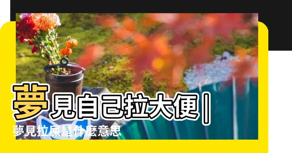 夢見自己拉大便 |夢見拉屎是什麼意思有什麼預兆 |夢見拉大便 |【周公解夢夢見拉大便什麼意思】