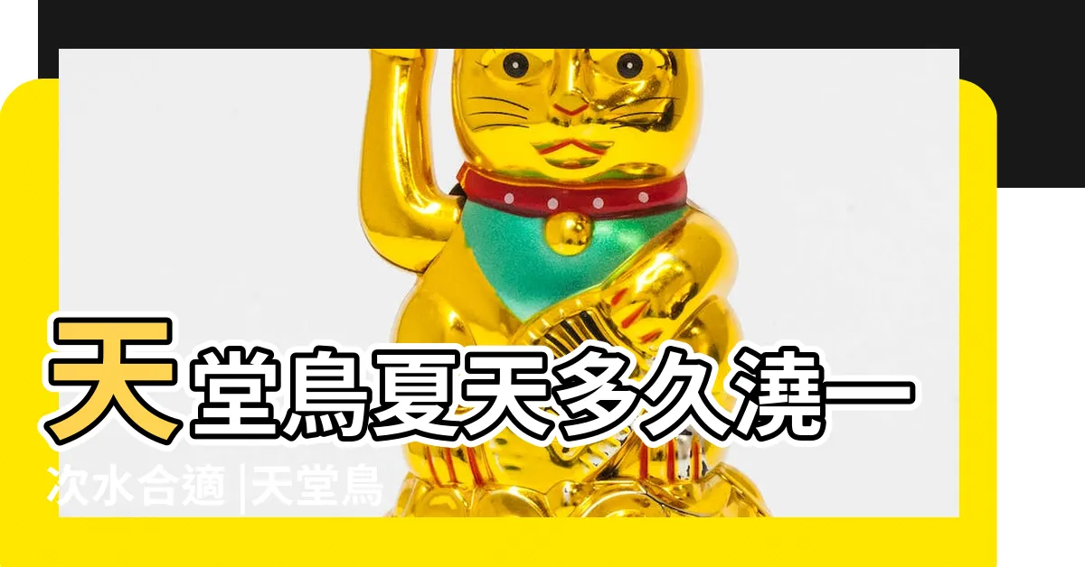 【天堂鳥澆水】天堂鳥夏天多久澆一次水合適 |天堂鳥怎麼養 |我應該多久給天堂鳥澆水一次 |
