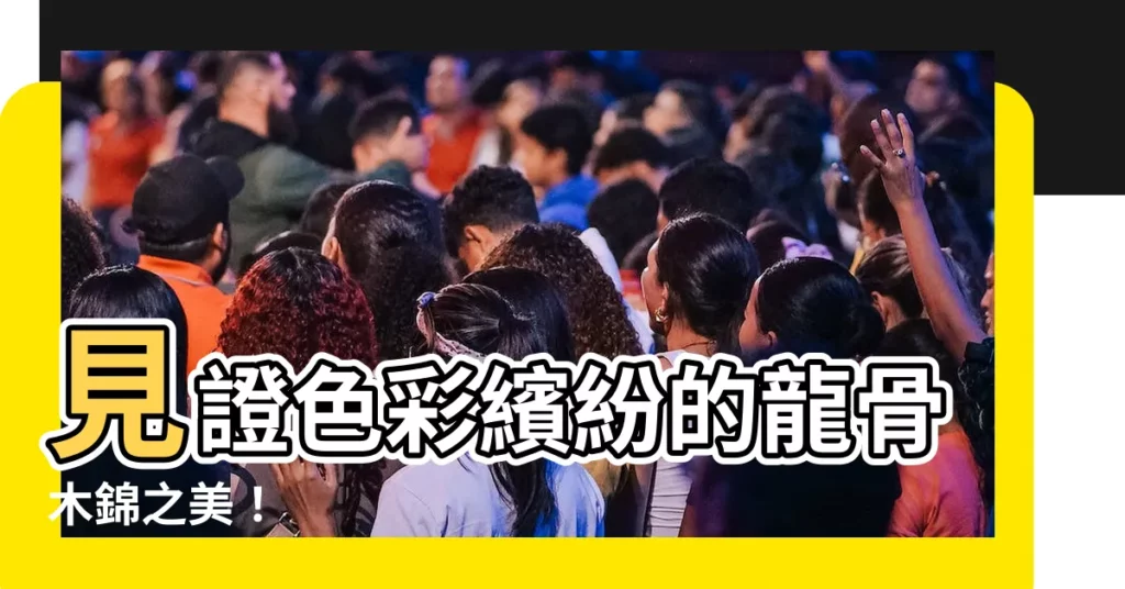 【龍骨木錦】見證色彩繽紛的龍骨木錦之美!