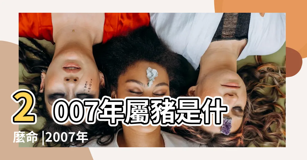 【2007屬什麼】2007年屬豬是什麼命 |2007年屬什麼生肖 |2007年是民國幾年 |