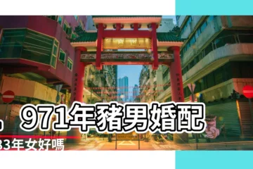 【兩個屬豬相差12歲】1971年豬男婚配1983年女好嗎 |兩個都是屬豬的差12歲在一起好嗎 |屬豬和屬豬的結婚好嗎兩個屬豬的人婚配好嗎 |