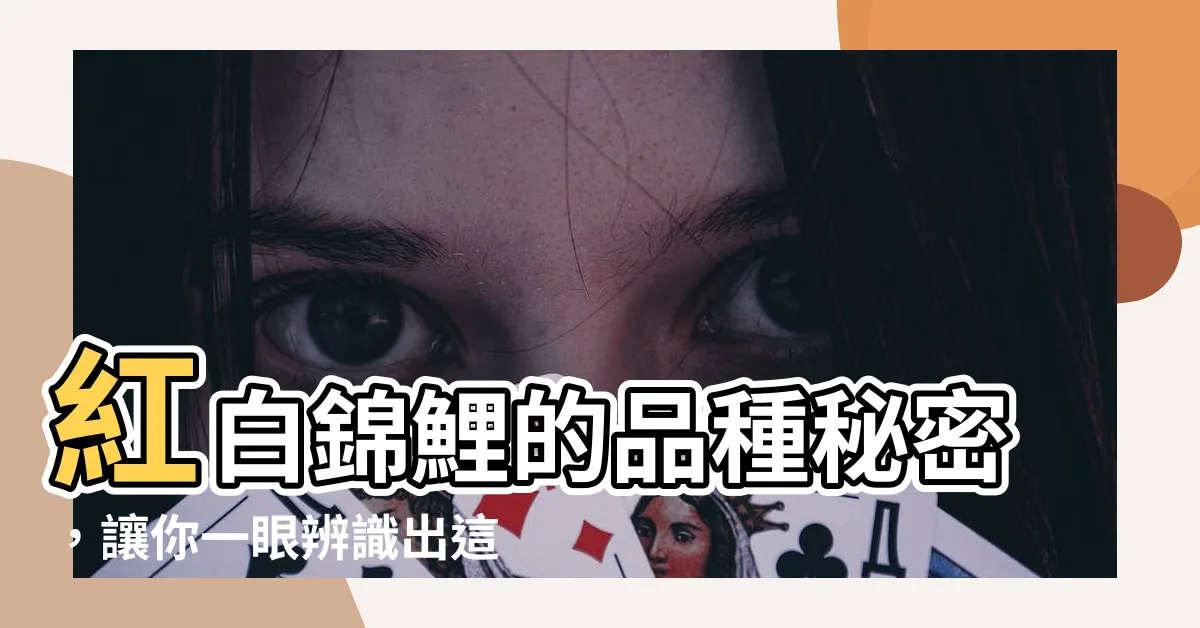 【紅白錦鯉】紅白錦鯉的品種秘密，讓你一眼辨識出這個水中極品