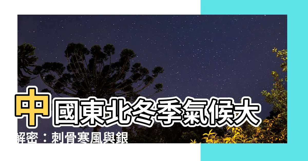【中國東北氣候】中國東北冬季氣候大解密：刺骨寒風與銀白雪景