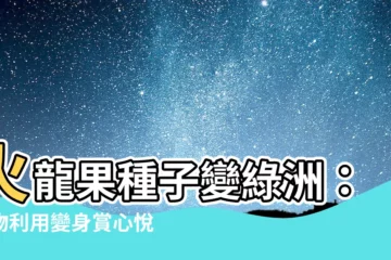 【火龍果種子】火龍果種子變綠洲：廢物利用變身賞心悦目盆栽