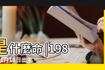【1988年1月10日五行】是什麼命 |1988年1月10日出生的人五行缺什麼 |出生於1988年1月10日生辰八字算命 |