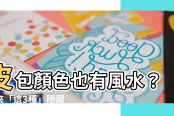 【皮包顏色風水】皮包顏色也有風水？原來「這3種」隱藏住財庫秘密！