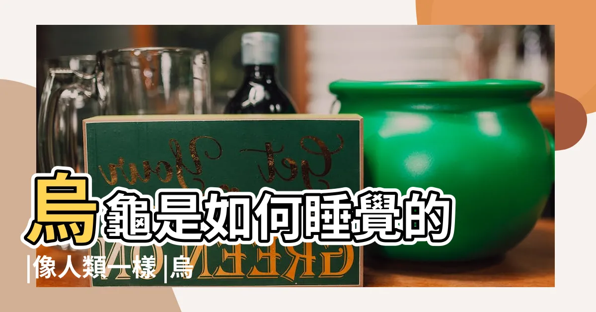 【烏龜真的會笑嗎】烏龜是如何睡覺的 |像人類一樣 |烏龜屬動物 |