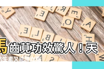 【馬齒莧功效】馬齒莧功效驚人！天然抗生素又能降血脂，隨處可見好處多多