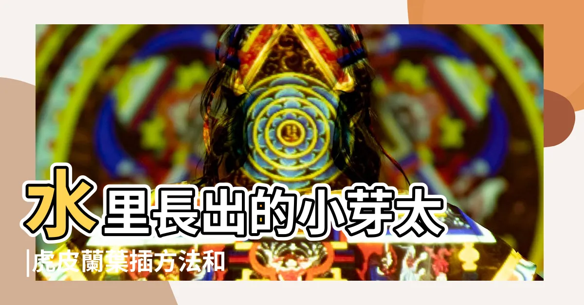 【虎尾蘭 葉插】水里長出的小芽太 |虎皮蘭葉插方法和注意事項 |披著虎皮的蛇植物 |