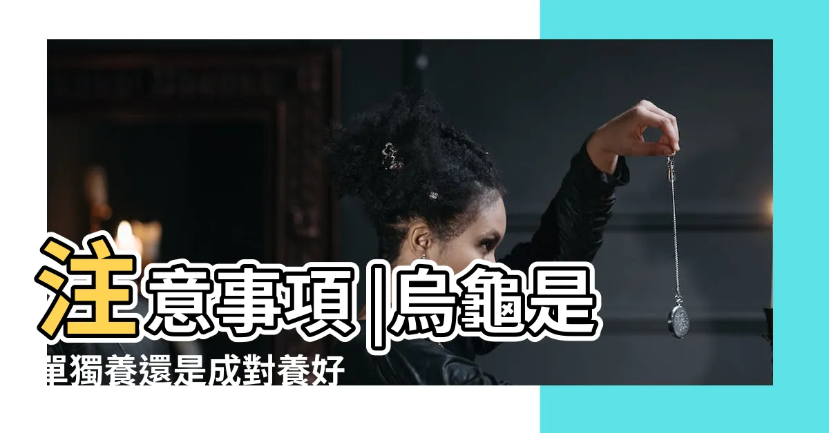 【烏龜可以 只養一隻 嗎】注意事項 |烏龜是單獨養還是成對養好 |用品清單 |