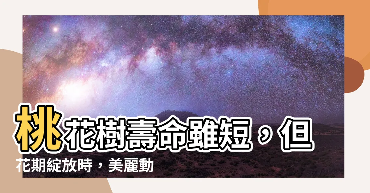 【桃花樹】桃花樹壽命雖短，但花期綻放時，美麗動人！