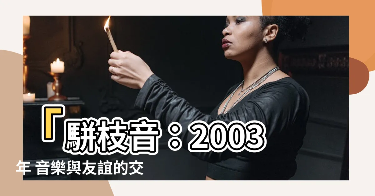 【駢枝音】「駢枝音：2003年 音樂與友誼的交織」