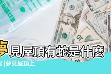 【夢見房頂都是蛇】夢見屋頂有蛇是什麼意思 |夢見屋頂上有蛇 |夢見房頂很多蛇 |
