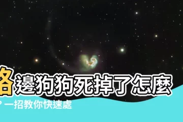 【路邊狗狗死掉】路邊狗狗死掉了怎麼辦？一招教你快速處理不髒手