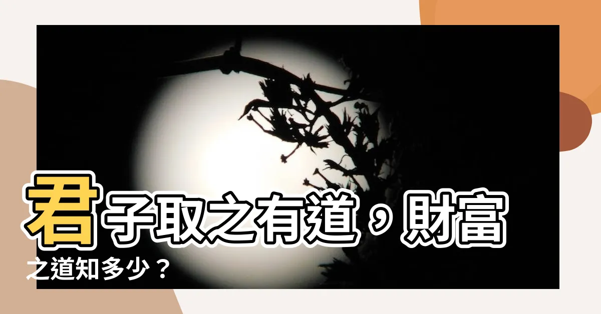 【君子 取之有道】君子取之有道，財富之道知多少？