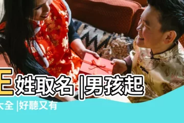 【李和王可以取什麼名字好聽的名字】王姓取名 |男孩起名大全 |好聽又有內涵 |