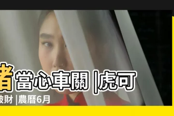 【豬生肖六月運勢】豬當心車關 |虎可能破財 |農曆6月運勢 |