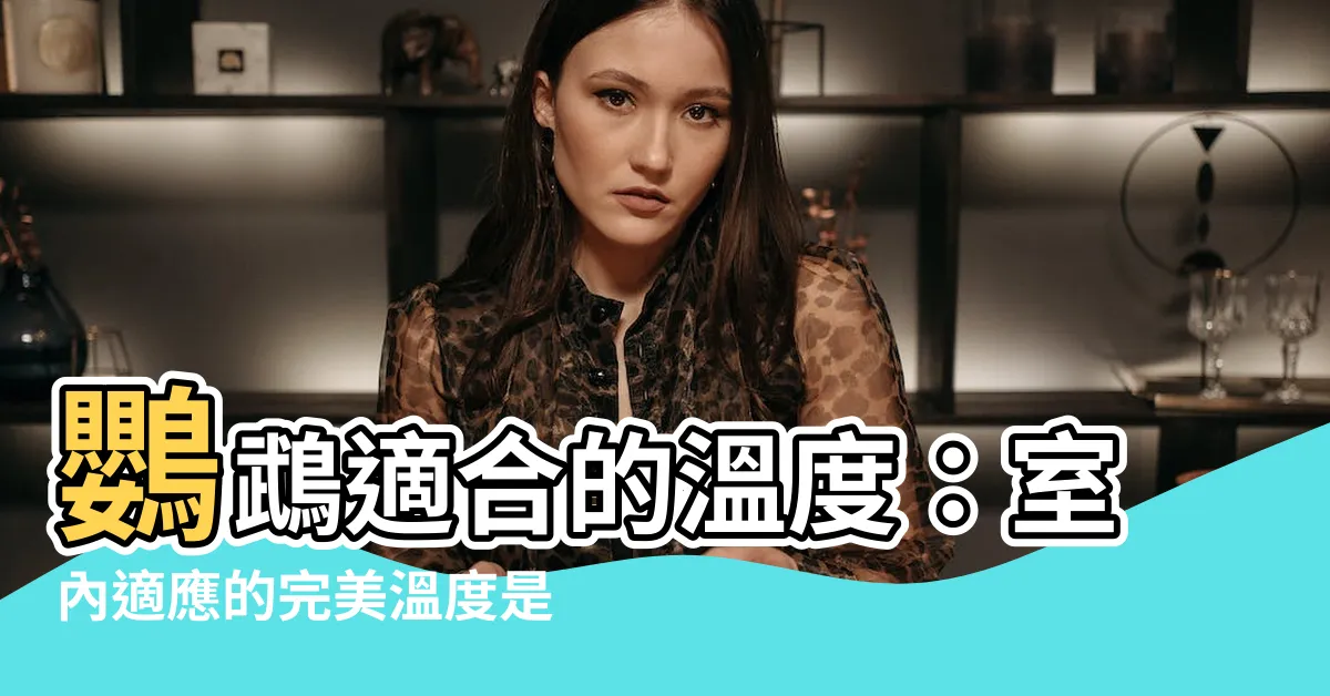 【鸚鵡適合的温度】鸚鵡適合的温度：室內適應的完美温度是多少？