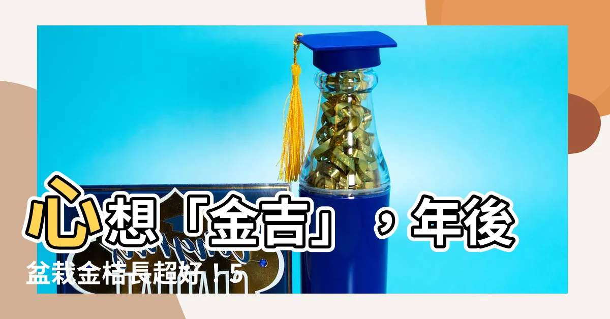 【金吉樹】心想「金吉」，年後盆栽金桔長超好！5個訣竅大公開