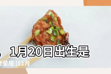 【11月20號出生的寶寶是什麼星座】11月20日出生是什麼星座 |11月20日出生的人 |2020年11月20日出生孩子是什麼星座 |