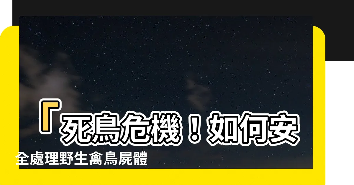 【死鳥】「死鳥危機！如何安全處理野生禽鳥屍體？」