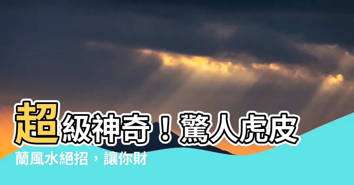 【虎皮蘭風水】超級神奇！驚人虎皮蘭風水絕招，讓你財運爆棚!