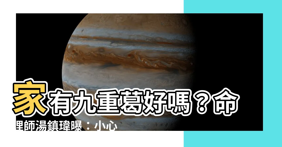 【家裡種九重葛好嗎】家有九重葛好嗎？命理師湯鎮瑋曝：小心5大風水植栽禁忌！