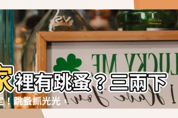 【家裏有跳蚤怎麼辦】家裡有跳蚤？三兩下搞定！跳蚤抓光光，輕鬆住好房！