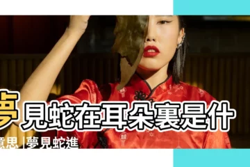 【孕婦夢見蛇鑽進耳朵裏】夢見蛇在耳朵裏是什麼意思 |夢見蛇進耳朵裏是什麼意思 |夢見蛇鑽耳朵 |