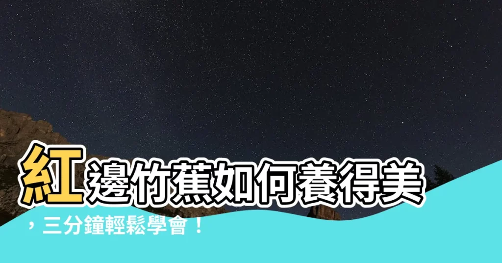【紅邊竹蕉照顧】紅邊竹蕉如何養得美，三分鐘輕鬆學會！
