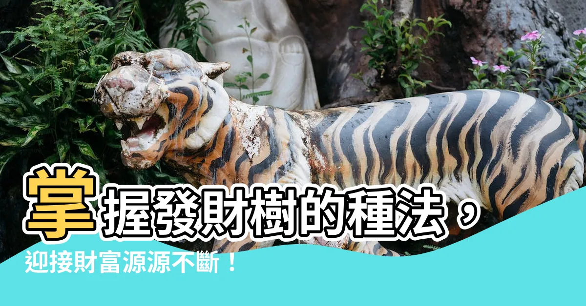 【發財樹的種法】掌握發財樹的種法，迎接財富源源不斷！