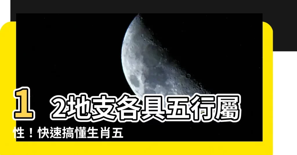 【12地支五行】12地支各具五行屬性！快速搞懂生肖五行、氣場影響！