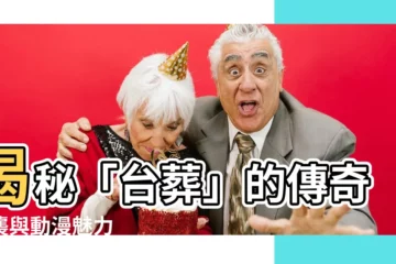 【台葬】揭秘「台葬」的傳奇奇襲與動漫魅力