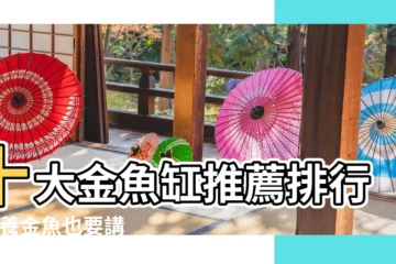【金魚缸養魚】十大金魚缸推薦排行榜 |養金魚也要講科學 |2023最新 |