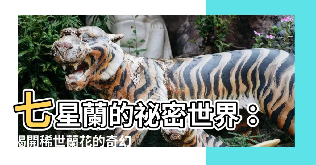 【七星蘭世】七星蘭的秘密世界：揭開稀世蘭花的奇幻面紗