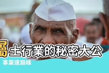 【屬土行業】屬土行業的秘密大公開：事業運巔峯