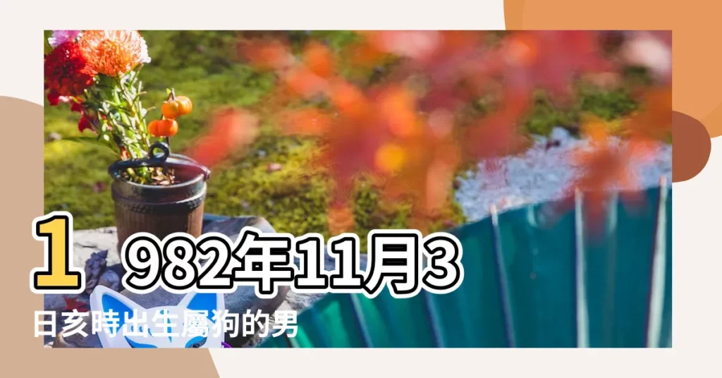 1982年11月3日亥時出生屬狗的男性八字算命 |生辰八字算命 |1982年11月3日3點4點出生的生辰八字命運 |【男1982年11月3日酉時命裏】