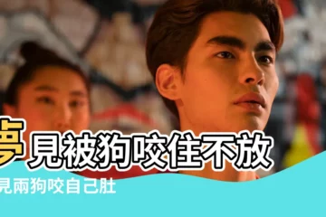 【夢見狗咬住我肚子不放】夢見被狗咬住不放 |夢見兩狗咬自己肚子 |夢見被狗咬住不放 |