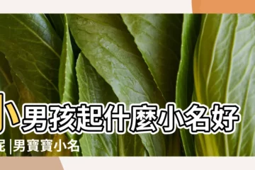 【給寶寶起好聽的小名男孩】小男孩起什麼小名好聽呢 |男寶寶小名大全 |4000個好聽的男孩名字小名好聽有意義 |