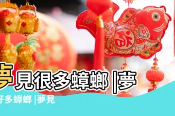 【夢見好多好多蟑螂周公解夢】夢見很多蟑螂 |夢見好多蟑螂 |夢見很多蟑螂 |