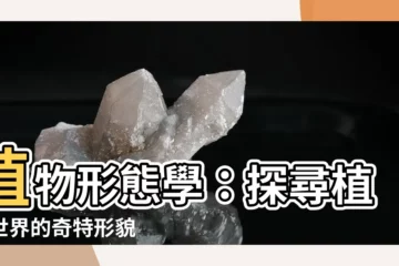 【植物形態學】植物形態學：探尋植物世界的奇特形貌