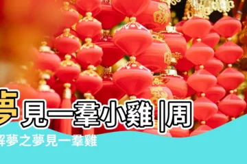 【夢見一羣小雞娃】夢見一羣小雞 |周公解夢之夢見一羣雞是怎麼回事 |夢見小雞仔 |