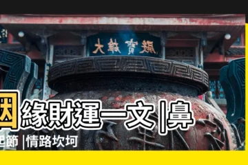 【鼻子起節代表什麼】姻緣財運一文 |鼻樑起節 |情路坎坷3 |