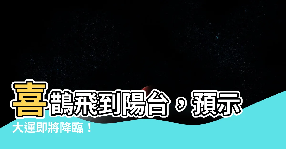 【喜鵲飛到陽台】喜鵲飛到陽台，預示大運即將降臨！