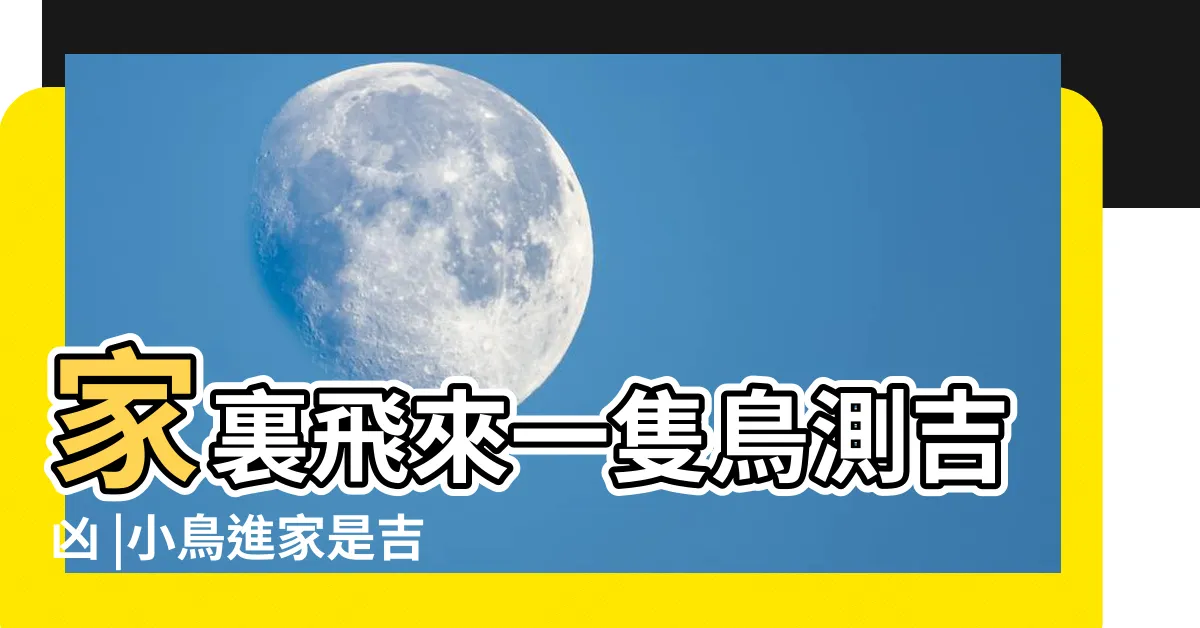 【鳥來家好嗎】家裏飛來一隻鳥測吉凶 |小鳥進家是吉還是兇 |自來鳥是什麼兆頭 |