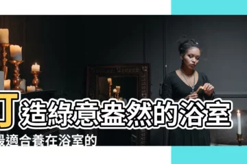 【浴室盆栽】打造綠意盎然的浴室！最適合養在浴室的盆栽推薦